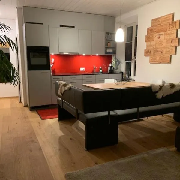 Casa Restelli EG - nahe Andermatt Gotthard，位于古尔特纳伦的酒店