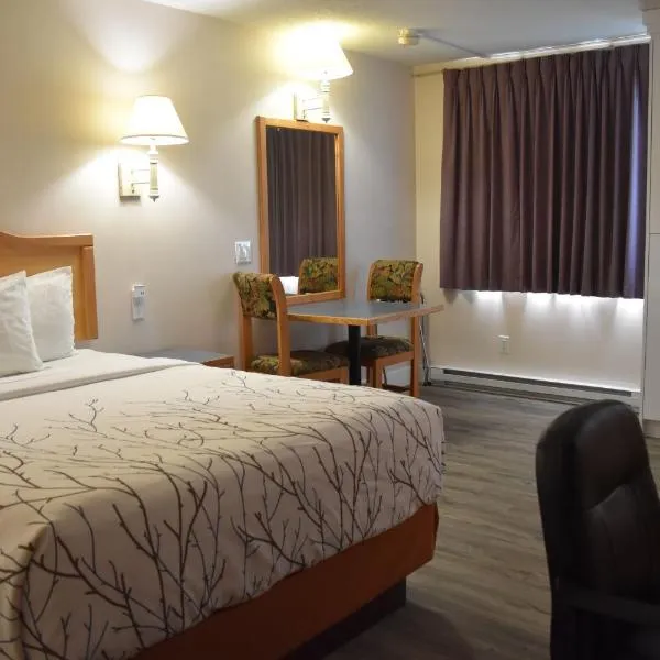 Canadas Best Value Inn & Suites-Castlegar，位于Genelle的酒店