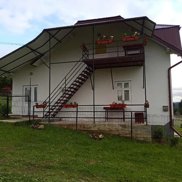 Casa Bucovina Dorna Candrenilor，位于Ascuţitele的酒店