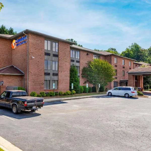 Comfort Inn & Suites Lenoir Hwy 321 Northern Foothills，位于弗格森的酒店