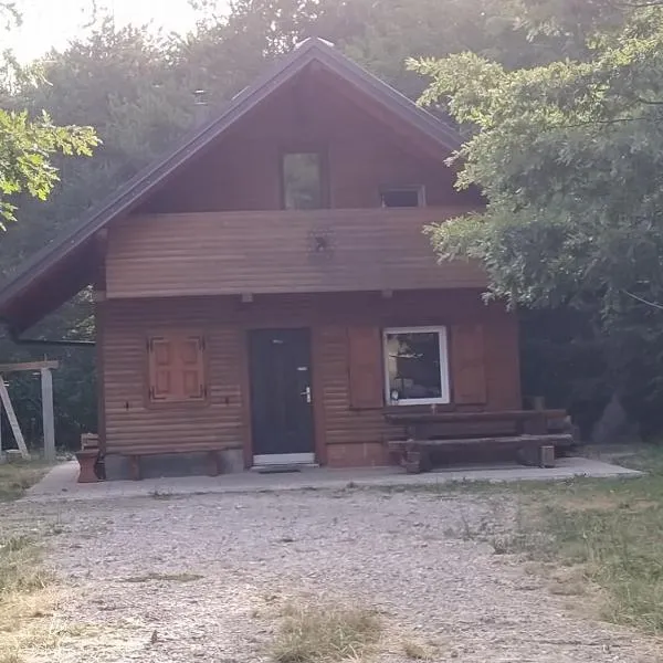 Podklanci-house in the forest，位于Knežak的酒店