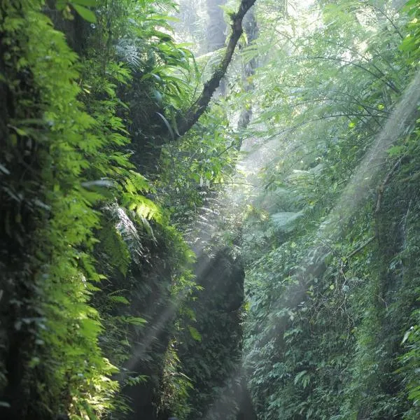 Pramana Giri Kusuma，位于贾蒂卢维的酒店