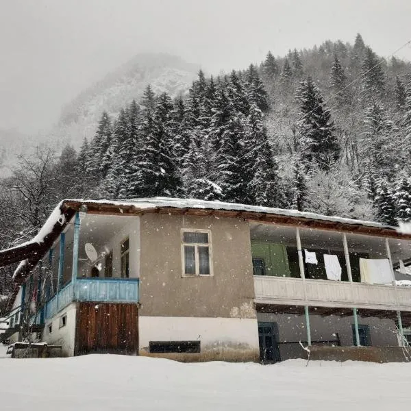 Laia's Guesthouse，位于Khaishi的酒店