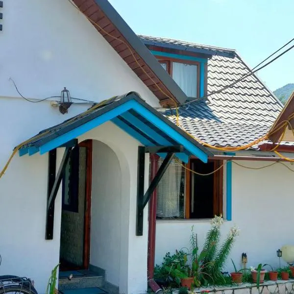 Casa Toth din Țipțerai，位于Leordina的酒店