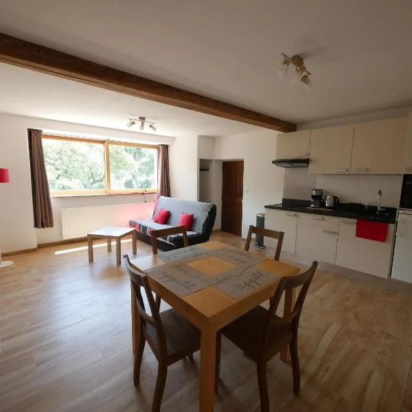 Appartement T2 40m2 avec extérieur 4 couchages，位于La Motte-en-Champsaur的酒店