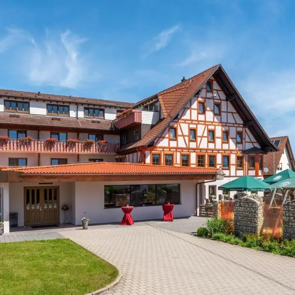 Danner´s Hotel Löwen，位于内卡河畔苏尔茨的酒店