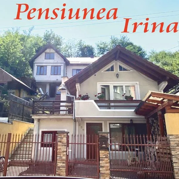 Pensiunea Irina，位于Valea Borcutului的酒店