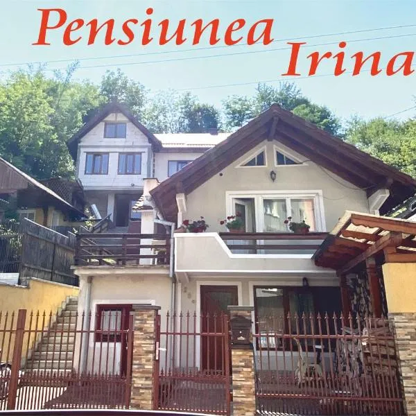 Pensiunea Irina，位于圣乔治-伯伊的酒店