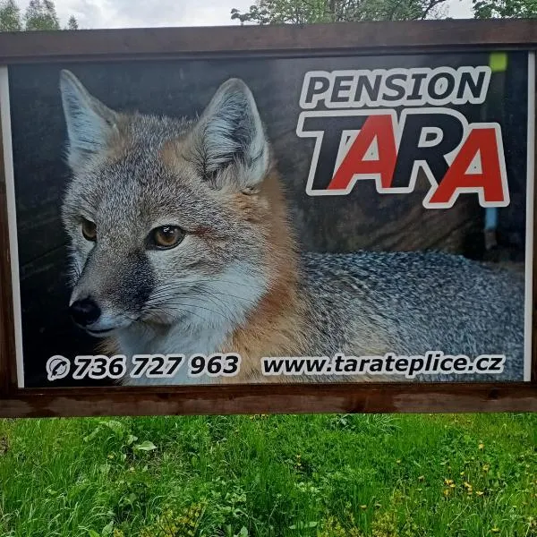 pension TARA，位于梅图耶河畔特普利采的酒店