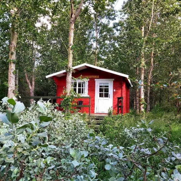 Bakkakot 3 Cozy Cabin In The Woods，位于Sveinbjarnargerði的酒店