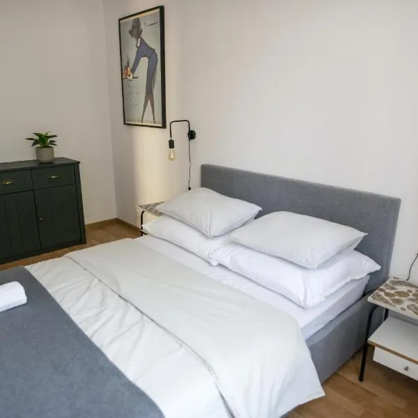 Apartamenty Centrum Biskupiec，位于Węgój的酒店