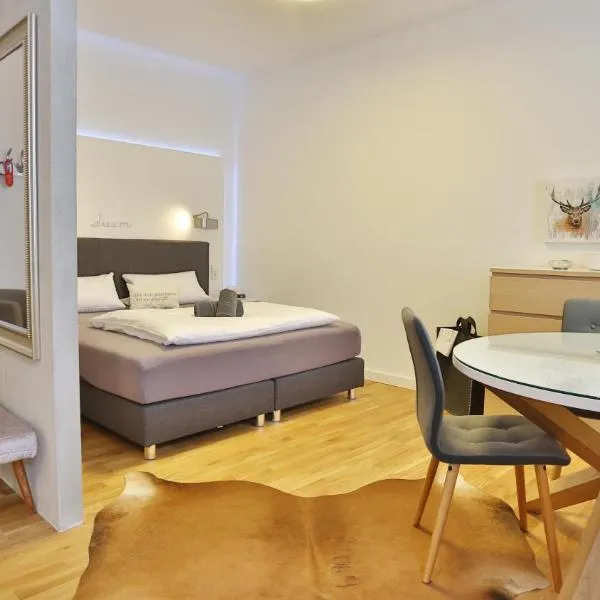 Hotel Prinz Carl - Apartments mit Klimaanlage，位于内卡苏尔姆的酒店