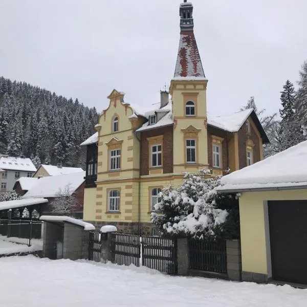 Apartmán Kraslice，位于Kraslice的酒店
