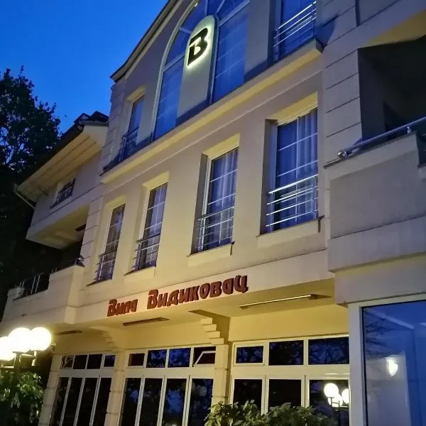 B&B Vila Vidikovac，位于Bosuta的酒店