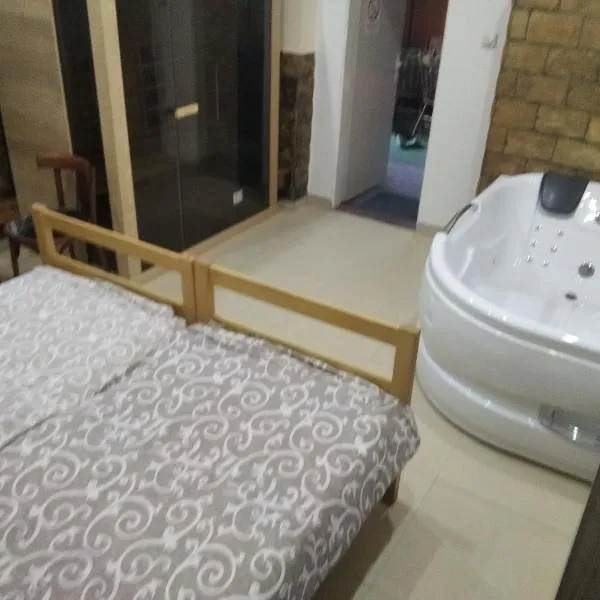 Németh Apartman Palić，位于帕利克的酒店