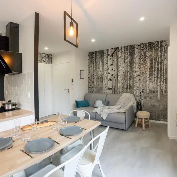 APPART-HOTEL n 4 calme avec terrasse, Wi-fi haut débit, petit-déjeuner, room-service et parking privé，位于Chouzelot的酒店