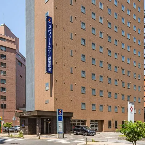 新泻舒适酒店，位于阿贺野的酒店