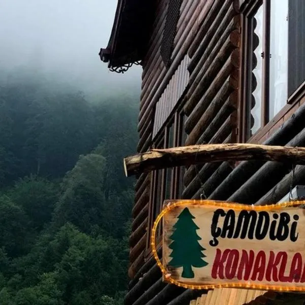 Çamdibi Konaklama，位于Gito Yaylasi的酒店