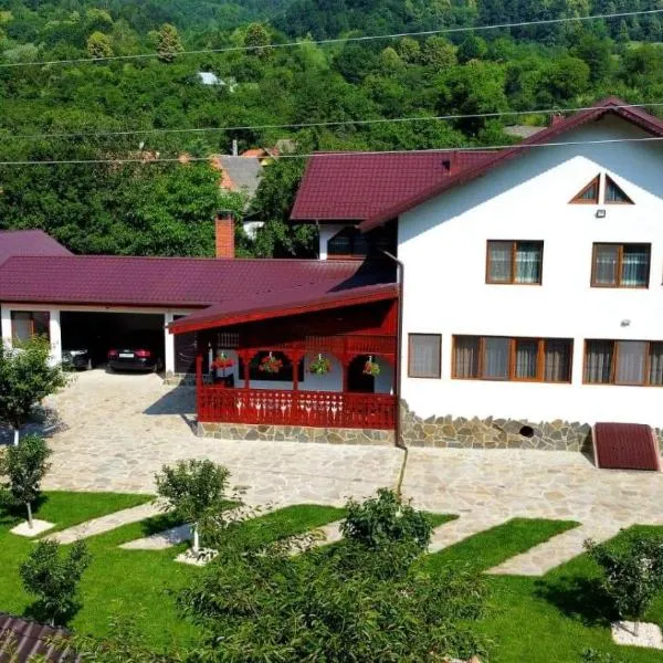 Casa Toader，位于Plavăţu的酒店