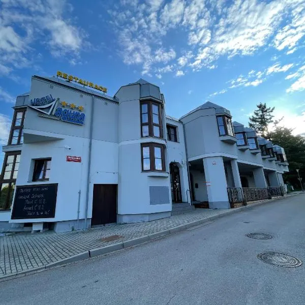 Hotel Laguna & restaurant，位于Střížov的酒店