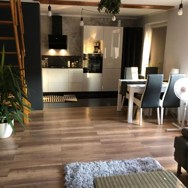 Apartament Moniuszki，位于Cisek的酒店