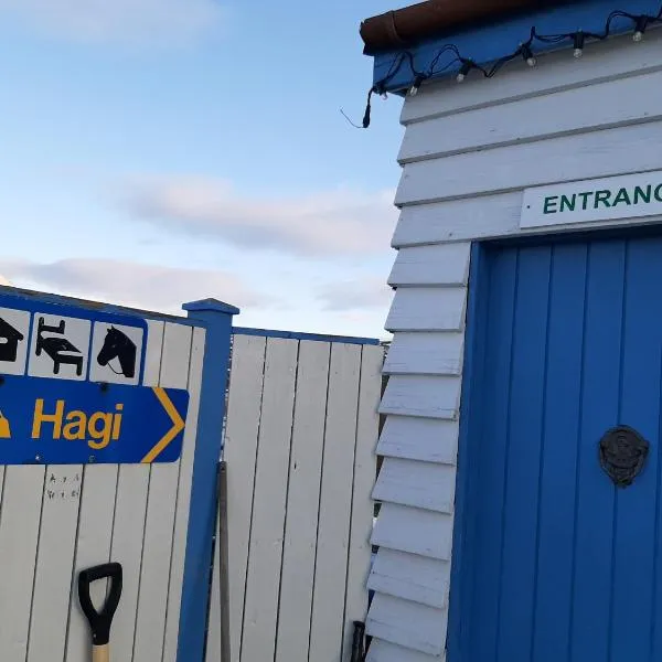 Hagi 1 Guesthouse，位于Aðaldalur的酒店