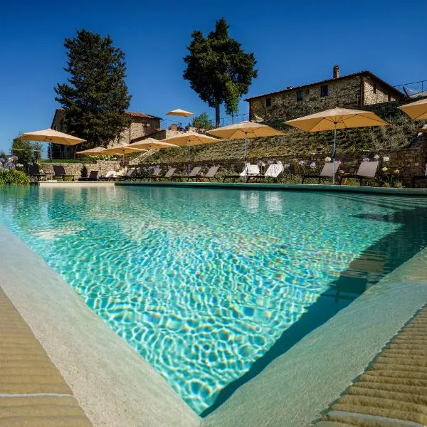 La Pietra Del Cabreo，位于Montefiridolfi的酒店