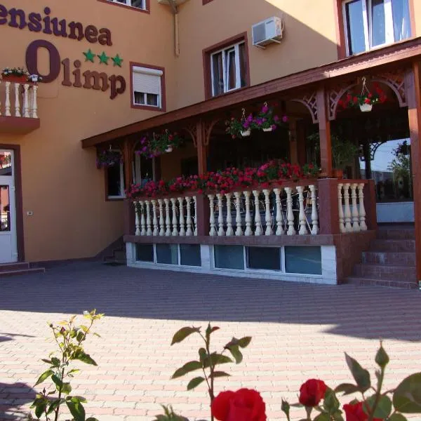 奥林普旅馆，位于Mîndruloc的酒店