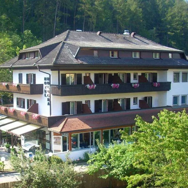 博洛尼亚酒店，位于布鲁尼科的酒店