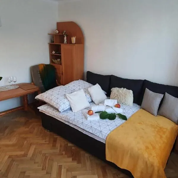 Apartament Park Saski II，位于桑多梅日的酒店