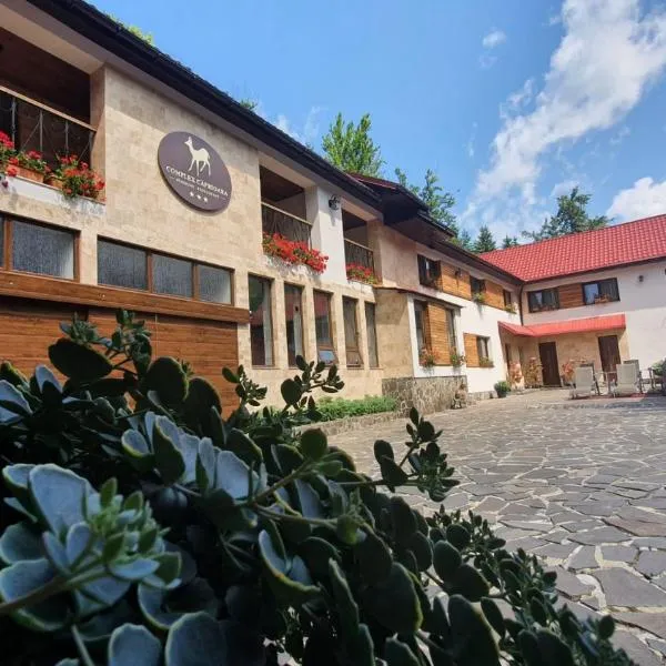 Complex Turistic Caprioara，位于Băiţa的酒店