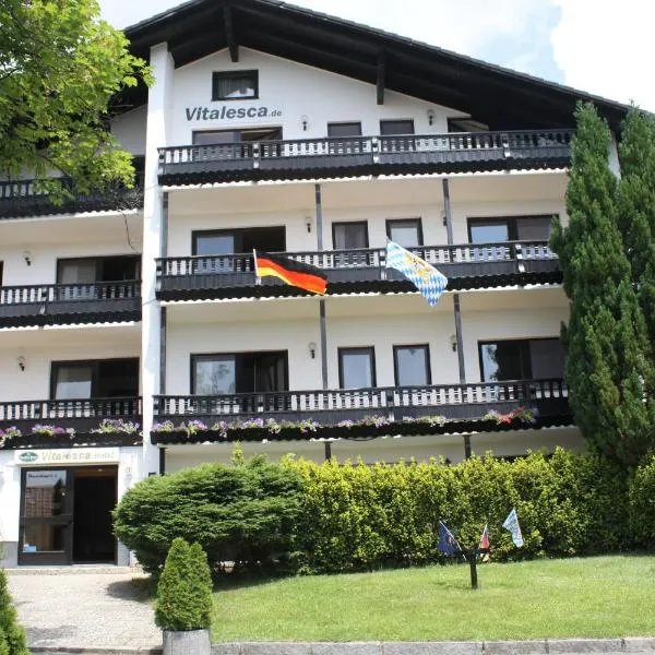 维塔赖斯卡酒店，位于Heinrichsbrunn的酒店