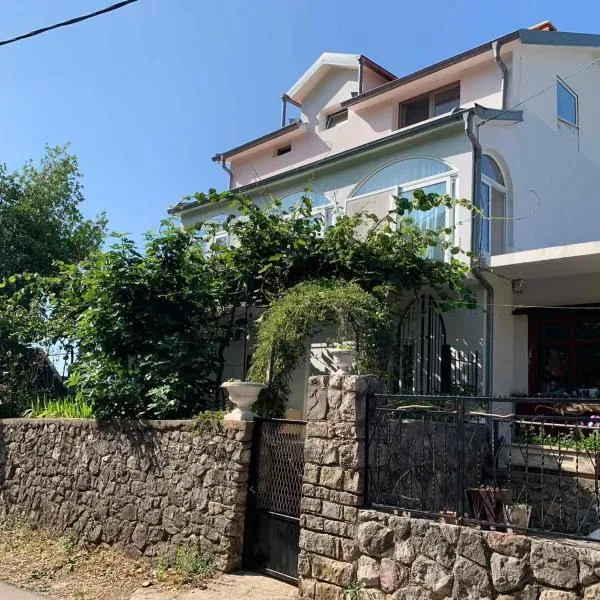 Vila Alexandria，位于Markovići的酒店