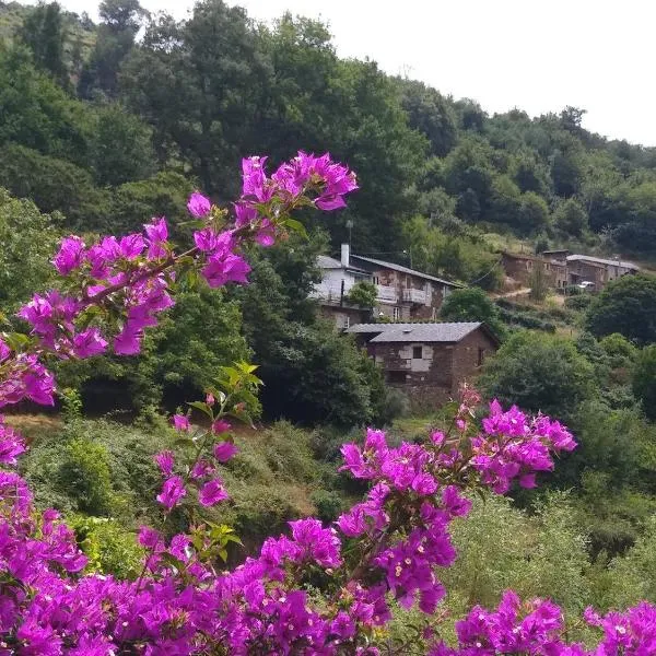 Ribera Sacra ( apartamento Rural )，位于费雷拉的酒店