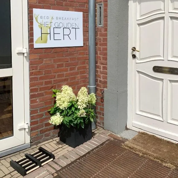 Het Gouden Hert，位于Susteren的酒店