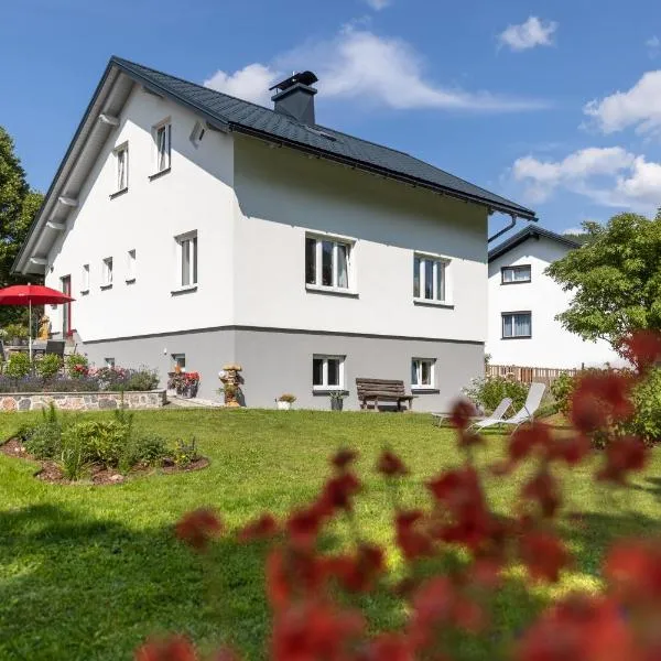 Gerli Appartement Mariazell，位于玛利亚采尔的酒店