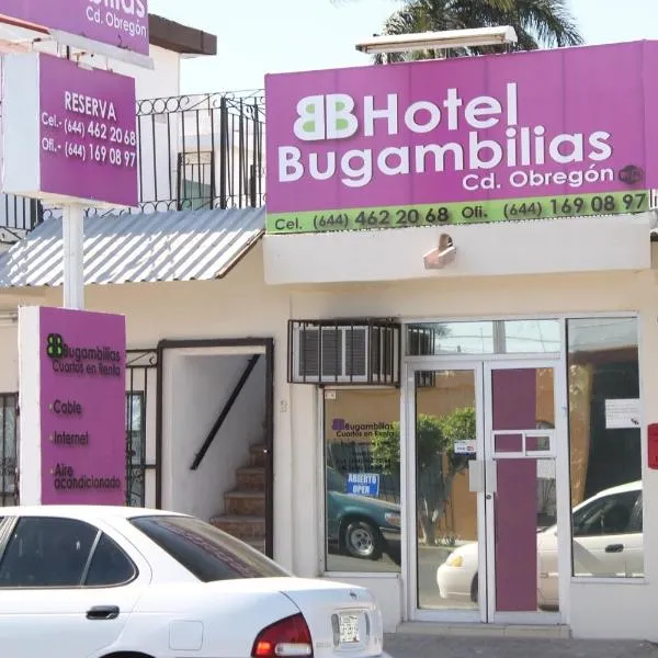 Hotel Bugambilias，位于San Ignacio的酒店