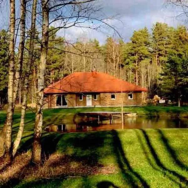 Forest house for family，位于Kupiškis的酒店