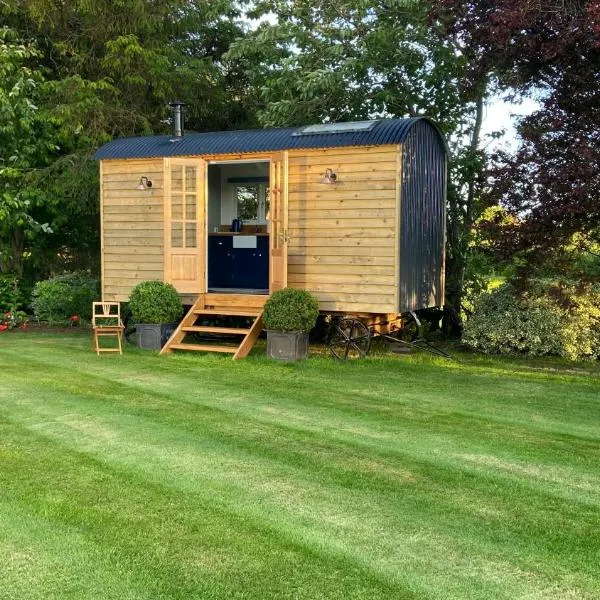 Bannfield shepherds hut，位于巴利马尼的酒店