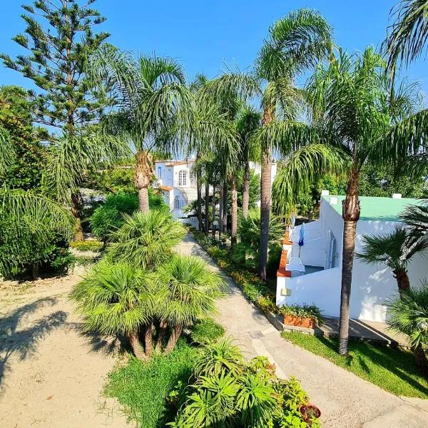 Cocos Park Ischia，位于伊斯基亚的酒店