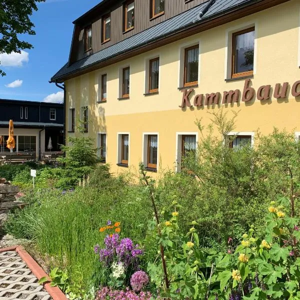 Hotel Dachsbaude & Kammbaude，位于Heidersdorf的酒店