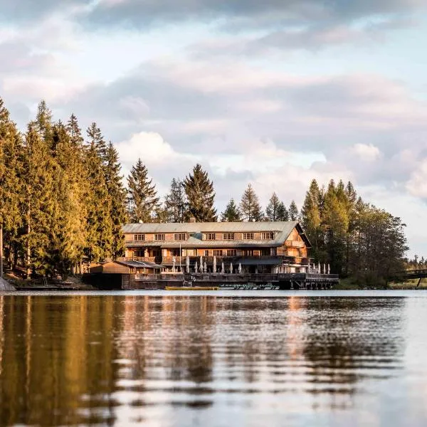 Hotel Am Fichtelsee，位于Tröstau的酒店