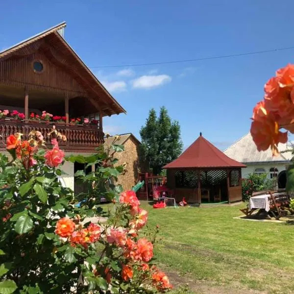 Casa Ilinca，位于Valea Seacă的酒店