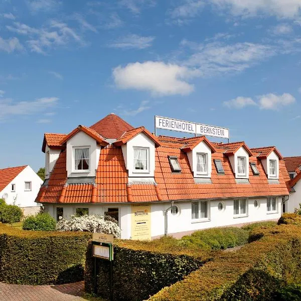 伯恩斯坦佛日恩酒店，位于Ziemitz的酒店