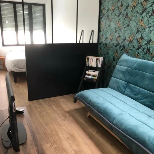 Studio centre Dinard，位于迪纳尔的酒店