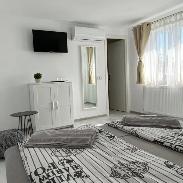 Four Rooms，位于Muşeteşti的酒店