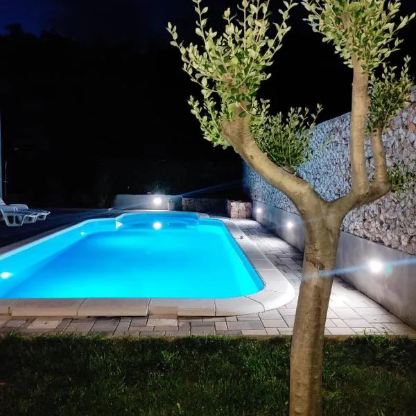 Village holiday apartman with heated pool Maslina，位于Vrkići的酒店