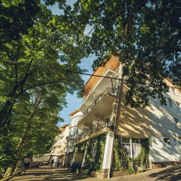 Готель Поляна Квеле，位于波利亚纳的酒店