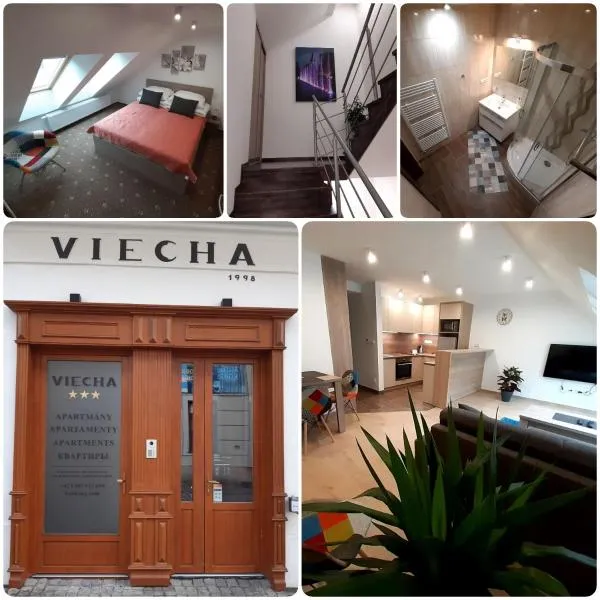 Apartmány Viecha，位于巴尔代约夫的酒店