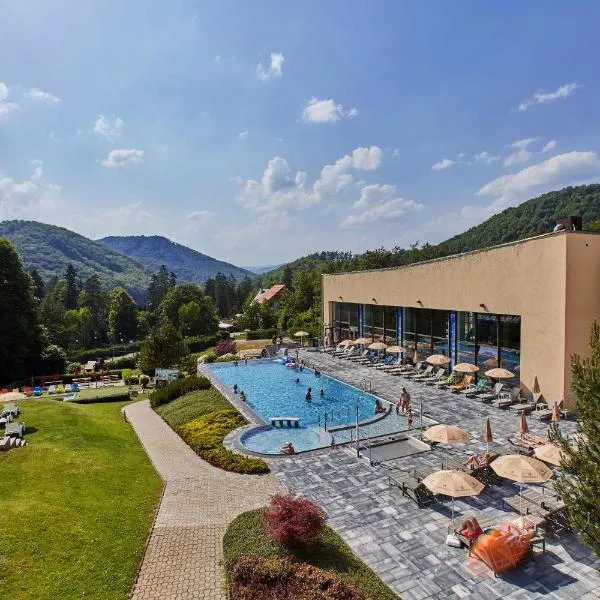 Hotel Sitno Forest Resort，位于Pukanec的酒店